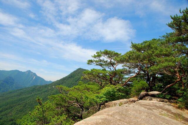 ▲ 신선대까지 이어지는 암릉구간.ⓒ진경수 山 애호가