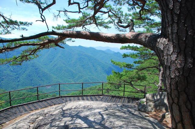 ▲ 북바위산 고스락.ⓒ진경수 山 애호가