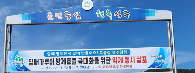 ▲ 성주군은 7월 7일부터 7월 28일까지 여름철 참외 생산성 저하의 주요 원인인 담배가루이 긴급 동시방제 캠페인을 펼친다.ⓒ성주군