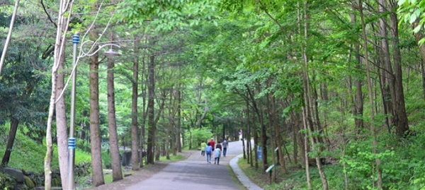 ▲ 대전시가 오는 22∼30일까지  만인산자연휴양림서 가족 힐링캠프를 개최한다. 사진은 만인산자연휴양림 입구.ⓒ대전시