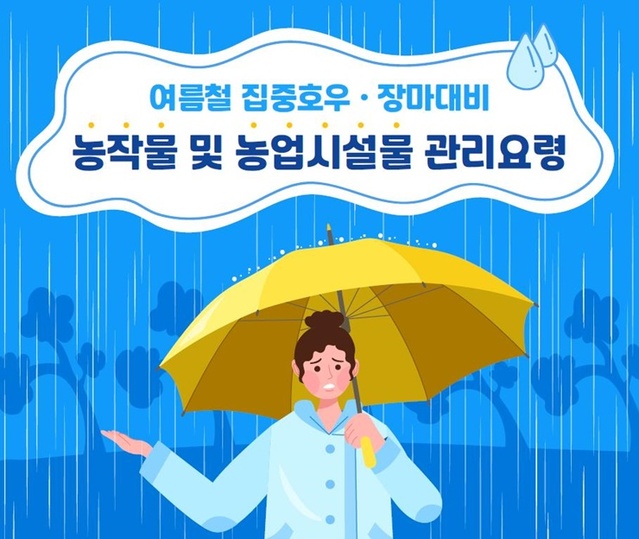 ▲ 김천시(시장 김충섭)는 본격적인 장마철을 맞아 잦은 강우와 고온다습한 날씨에 대비해 농작물 및 농업 시설물의 피해 예방을 위한 관리 요령을 지도하며 농가의 각별한 주의를 당부했다.ⓒ김천시