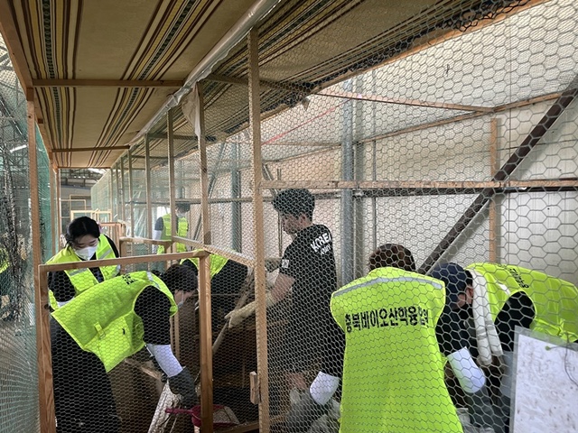 ▲ 충북바이오산학융합원 임직원들이 19일 오송읍 일대에서 수해복구 봉사를 하고 있다.ⓒ충북바이오산학융합원