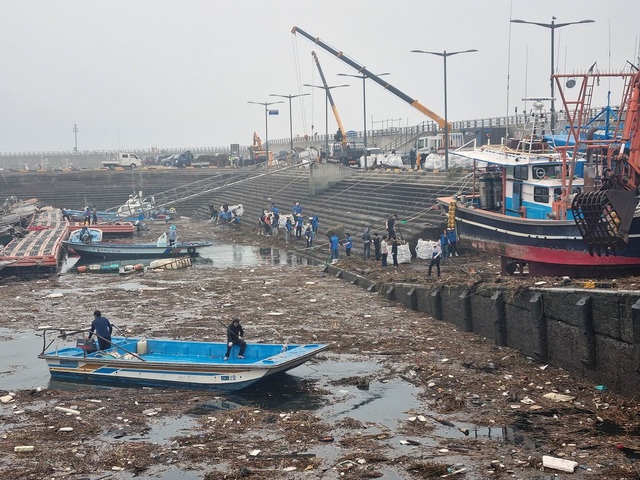 ▲ 충남 서천군 마량진항에 집중호우로 인해 해양 쓰레기 수천톤이 쌓여 있다.ⓒ사진 김진각 씨 제공