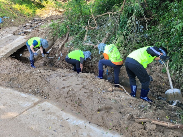 ▲ 경북농협은 피해현장에 조속한 복구를 위한 인력 지원을 계속한다는 방침아래 지난 17일부터 문경 침수농가 및 농경지 복구를 위해 지원에 나선다.ⓒ경북농협