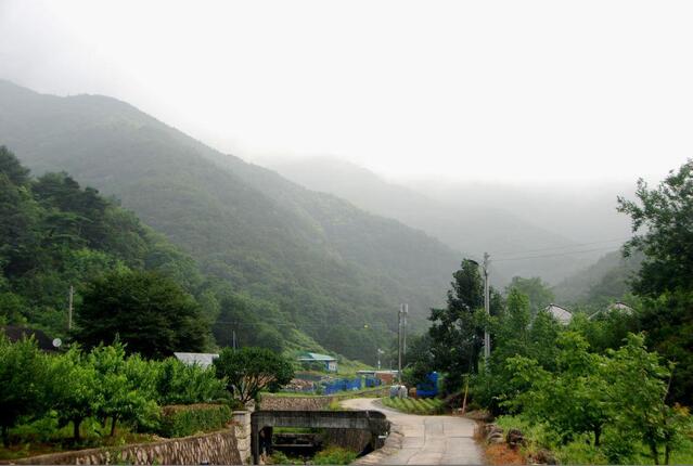 ▲ 운무 속에 숨은 구병산 자락을 향해 계곡을 거슬러 오르는 길.ⓒ진경수 山 애호가