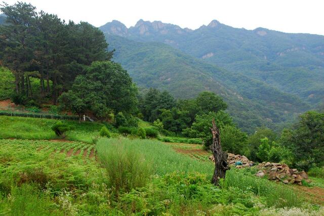 ▲ 들길을 내려오면서 바라본 구병산 산등성.ⓒ진경수 山 애호가