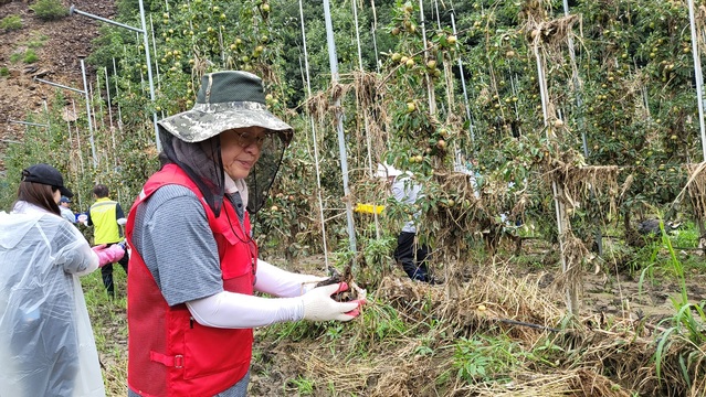 ▲ 정우택 국회 부의장이 24일 상당구 최근 집중호우로 침수된 농장에서 복구작업을 돕고 있다.ⓒ정우택 의원실
