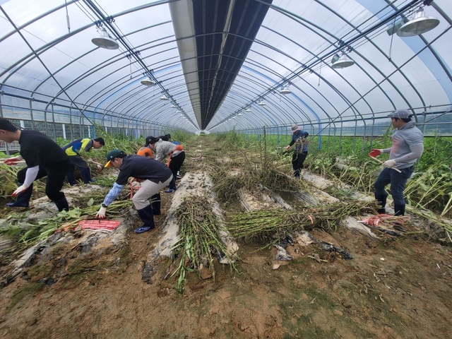 ▲ 경산시 공무원 40여명이 지난 14일부터 쏟아진 호우로 인해 어려움을 겪고 있는 경북 예천군을 찾아 피해 복구 지원에 구슬땀을 흘렸다.ⓒ경산시