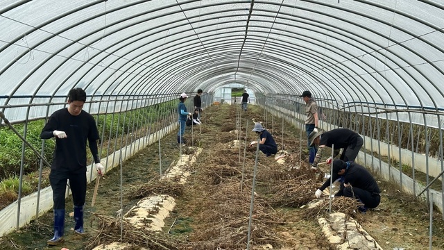 ▲ 경산시 공무원 40여명은 중장비나 차량 접근이 어려워 신속한 복구가 여의찮은 예천군 지보면을 찾아 인력을 지원했다.ⓒ경산시