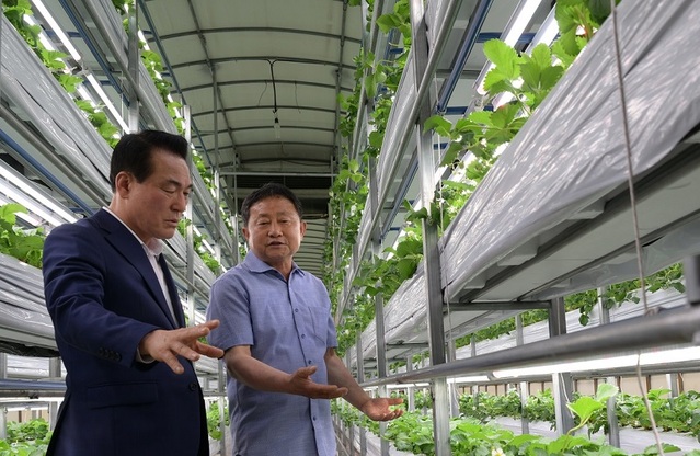 ▲ 백성현 논산시장이 여름딸기 첨단농장을 둘러보고 있다.ⓒ논산시