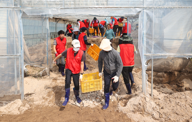 ▲ 경북도의회(의장 배한철)는 25일 농수산위원회 및 건설소방위원회 위원 등 도의회 의원을 비롯한 사무처 직원 50여명이 참여한 가운데 피해현장 복구작업에 나섰다.ⓒ경북도의회