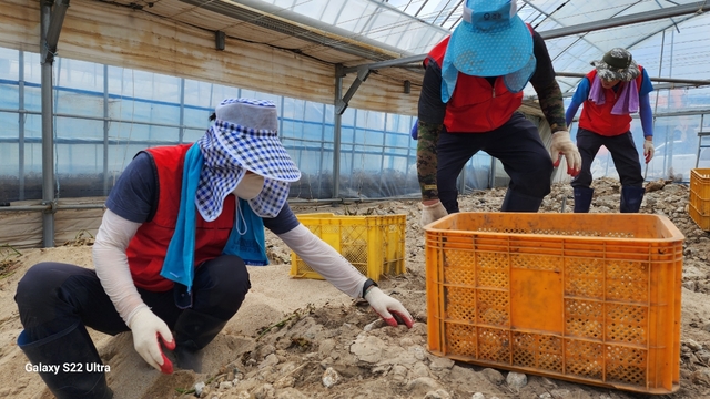 ▲ 경북도의회 건설소방위원회(위원장 박승직)는 25일 집중호우 수해복구 현장을 찾아 복구 작업에 구슬땀을 흘렸다.ⓒ경북도의회
