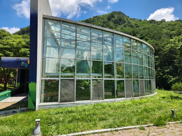 ▲ 영양군은 충돌 및 추락으로 폐사하는 야생조류 피해를 저감하고자 ‘조류충돌 방지테이프 부착 사업’을 추진하고 있다.ⓒ영양군