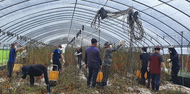 ▲ 자원봉사자들이 지난 25일 농작물 시설 하우스에서 철거작업을 하고 있다.ⓒ공주시