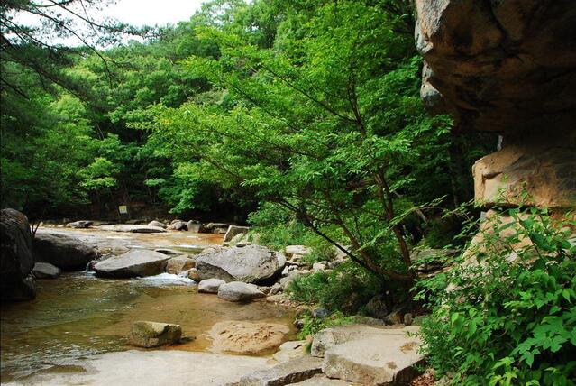 ▲ 용소암을 지나 계곡을 거슬러 오르는 길.ⓒ진경수 山 애호가