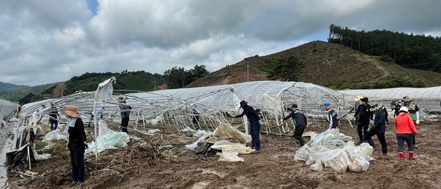 ▲ 설하우스 피해 관련 사진.ⓒ공주시