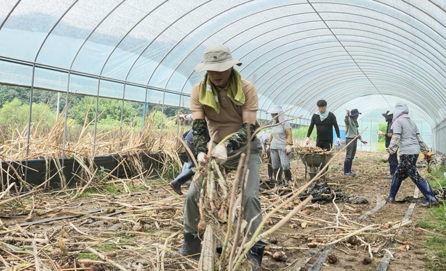 ▲ 경산시(시장 조현일)는 집중호우로 어려움을 겪고 있는 예천군 지역의 피해복구를 위해 24일부터 28일까지 200여 명 인력을 파견해 아픔을 나누고 있다.ⓒ경산시