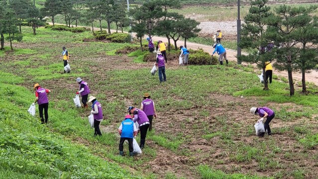 ▲ 예천군(군수 김학동)에서는 지난 26일 경북도민행복대학 북부권 지역 학습생들이 합심해서 기록적인 집중호우로 피해를 입은 예천지역을 돕기 위한 수해복구 봉사활동을 펼쳤다.ⓒ예천군