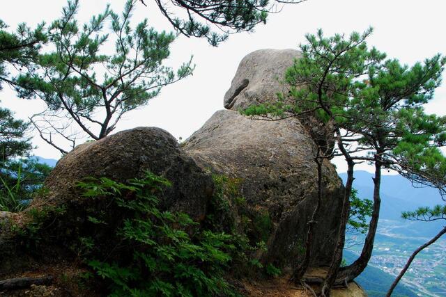 ▲ 강아지 바위.ⓒ진경수 山 애호가