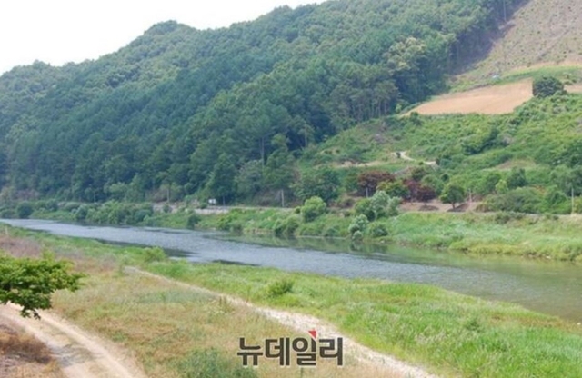 ▲ 결재 없이 입찰공고해 논란이 된 괴산 후영지구 급경사지.ⓒ뉴데일리 DB