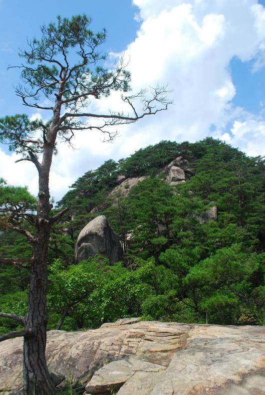 ▲ 마당바위의 노송을 배경으로 바라본 칠보산 고스락.ⓒ진경수 山 애호가