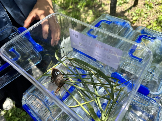 ▲ ⓒLG에너지솔루션