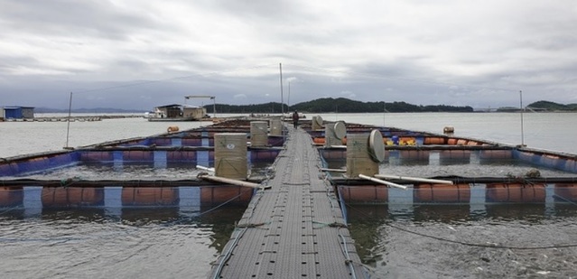 ▲ 충남 천수만 가두리 양식장.ⓒ충남도