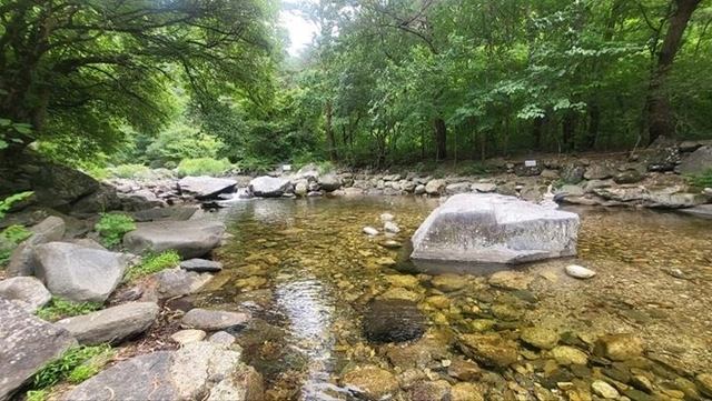 ▲ 충북도내 유명계곡의 수질이 모두 물놀이에 적합한 것으로 조사됐다.사진은 괴산 쌍곡계곡.ⓒ충북도