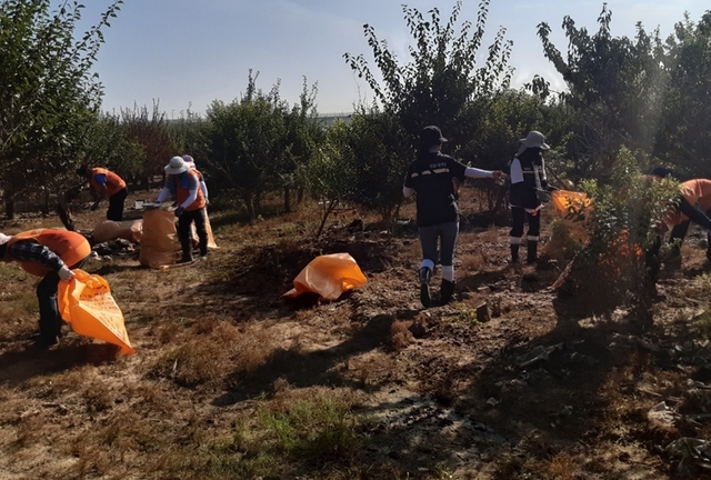 ▲ 경기 연천군자원봉사센터 40여명이 오송읍 궁평리에서 봉사활동을 펼쳤다.ⓒ청주시