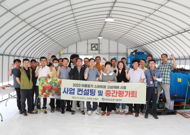 ▲ 영양군농업기술센터는 8월 2일 수비면 신원리 사업장에서 ‘여름딸기 스마트팜 고설재배 시범사업’ 중간평가회를 개최했다.ⓒ영양군