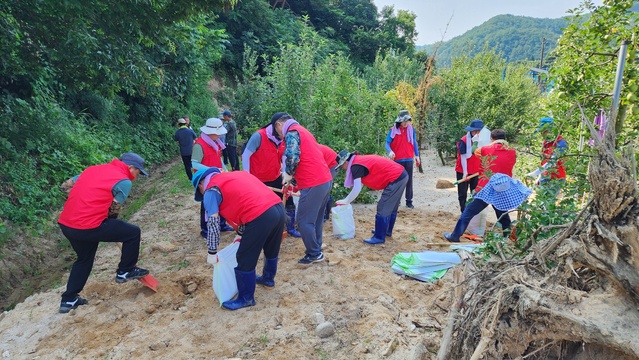 ▲ 김종수 사무처장을 비롯한 의회사무처 간부공무원들은 35도를 육박하는 폭염 속에서도 침수 주택의 토사 제거, 주변 환경 정리 등 복구 지원에 힘을 보탰다.ⓒ경북도의회