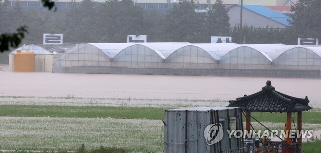 ▲ 10일 태풍 카눈의 영향으로 많은 비가 내려 강원 강릉시 월호평동의 농경지와 비닐하우스가 물에 잠겨 있다. ⓒ연합뉴스