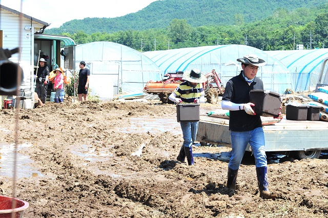 ▲ 군청직원 300여 명은 군위읍, 소보면, 효령면, 부계면 피해 농가에 방문해 주택 내 토사 및 살림살이 등을 피해복구를 하고 있다.ⓒ군위군