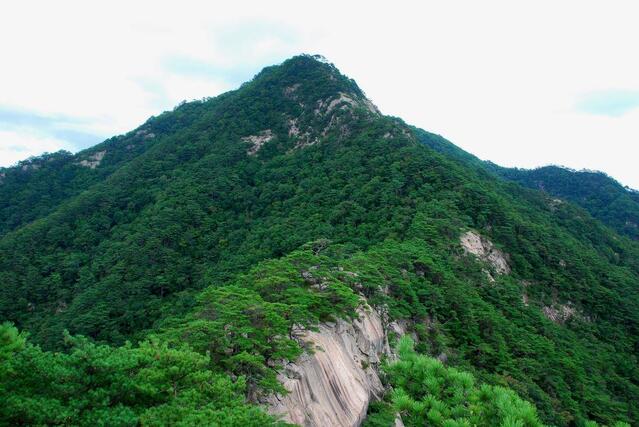 ▲ 디딜방아봉 고스락에서 바라본 930봉.ⓒ진경수 山 애호가