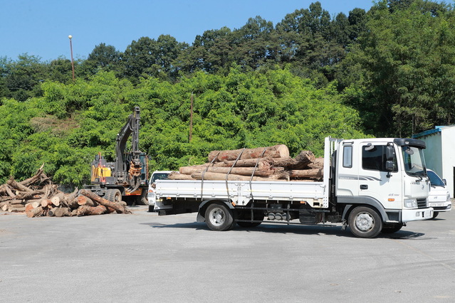 ▲ 예천군(군수 김학동)은 집중호우 피해지역 응급복구 과정에서 발생한 재난폐기물 중 목재류를 처리업체에 위탁 처리하지 않고 농촌지역 화목보일러 또는 기타 땔감용 등으로 무상 공급한다.ⓒ예천군
