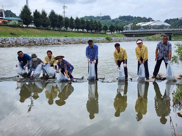 ▲ 예천군(군수 김학동)은 18일 하천 생태계 환경을 개선하고 수산 자원을 증강하기 위해 예천읍 한천 등 12개 읍‧면 하천과 저수지에서 붕어, 잉어, 메기 등 치어 10만 마리를 방류했다.ⓒ예천군