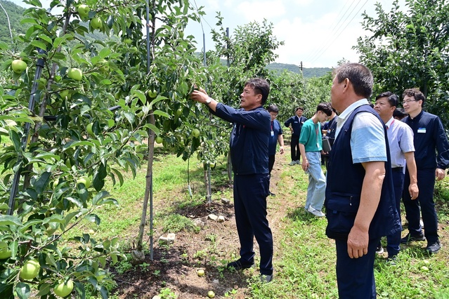 ▲ 지난 4월 농작물 냉해로 큰 피해를 입은 청송군(군수 윤경희)이 최근 특별재난지역으로 지정돼 정부로부터 지원을 받을 수 있게 됐다.ⓒ청송군