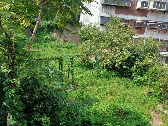 ▲ 그네가 잡초와 덩굴로 뒤덮여 있다. ⓒ김성웅 기자