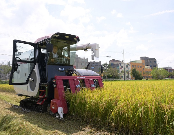 ▲ 백성현 논산시장이 지난 21일 올해 첫 벼베기 작업을 하고 있다.ⓒ논산시