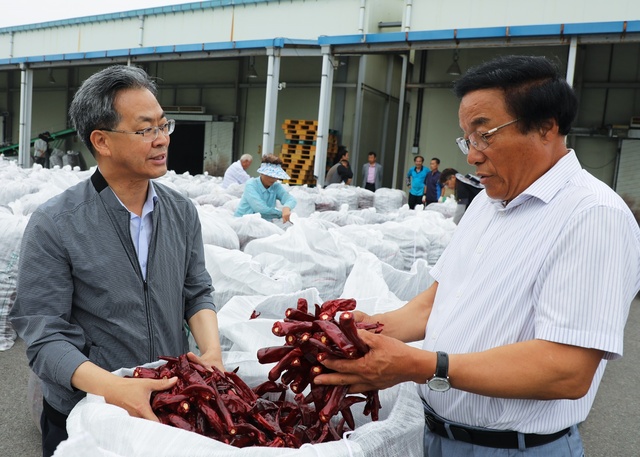 ▲ 영양군(군수 오도창)은 남영양농협을 통해 8월 17일부터 8월 25일까지 2023년산 건고추 수매를 실시한다.ⓒ영양군