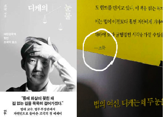 ▲ 조국 전 법무부장관의 신간(왼쪽)과 조 전 장관이 추천사를 쓴 금태섭 전 의원의 책 '디케의 눈'. ⓒ곽대중 새로운선택 대변인 페이스북