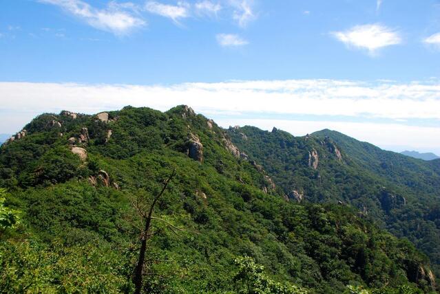 ▲ 청법대 아래서 바라본 신선대와 천왕봉 산등성.ⓒ진경수 山 애호가