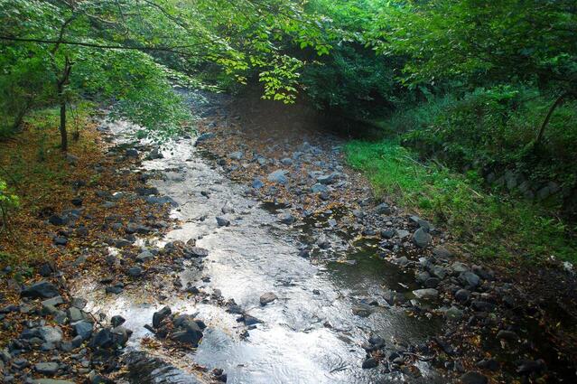 ▲ 대보교 아래로 흐르는 계곡물.ⓒ진경수 山 애호가