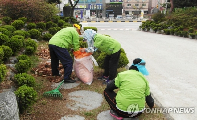 ▲ 노인일자리 사업 ⓒ연합뉴스