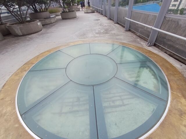 ▲ 서울로 7017 위에 노출된 철근이 덮개로 가려져 있다. ⓒ김성웅 기자