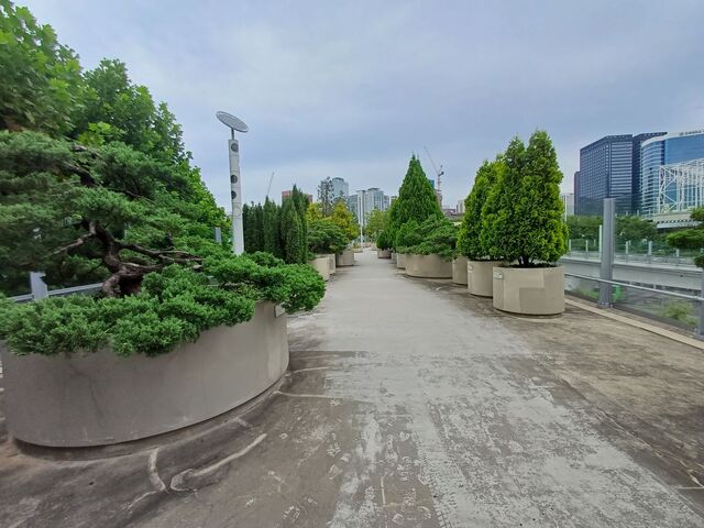 ▲ 서울로 7017은 저조한 방문객 등으로 논란이 되고 있다. ⓒ김성웅 기자