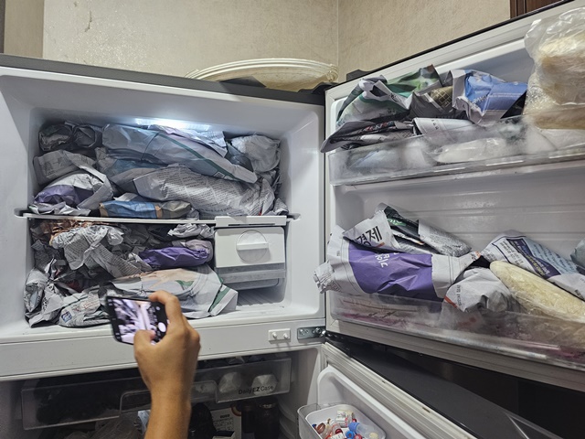 ▲ 번식장 내 냉동실에 개 사체들이 신문지에 쌓인채 방치돼 있다. ⓒ코리안독스 제공