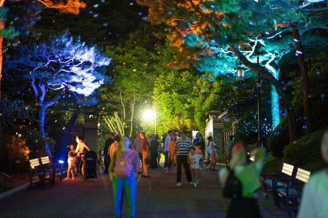 ▲ 2023년 상반기 '청와대 밤의 산책' 모습.ⓒ문체부