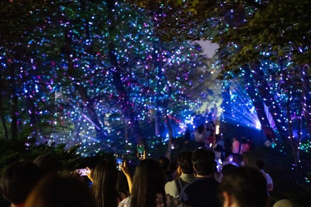 ▲ 녹지원 숲길 '신비의 숲'.ⓒ문체부