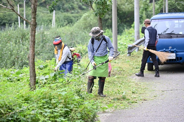 ▲ 청송군(군수 윤경희)은 관내 주요도로 이용자들의 안전하고 쾌적한 도로환경 제공과 운전자의 혼선 및 사고를 미연에 방지하기 위해 시거장애목 정비에 나섰다.ⓒ청송군